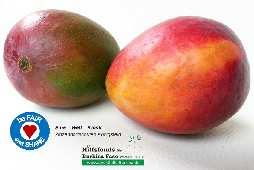 Mangos für Bildung in Westafrika