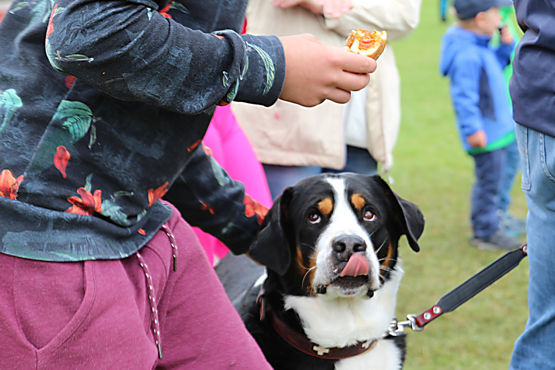 sportfest_18.jpg