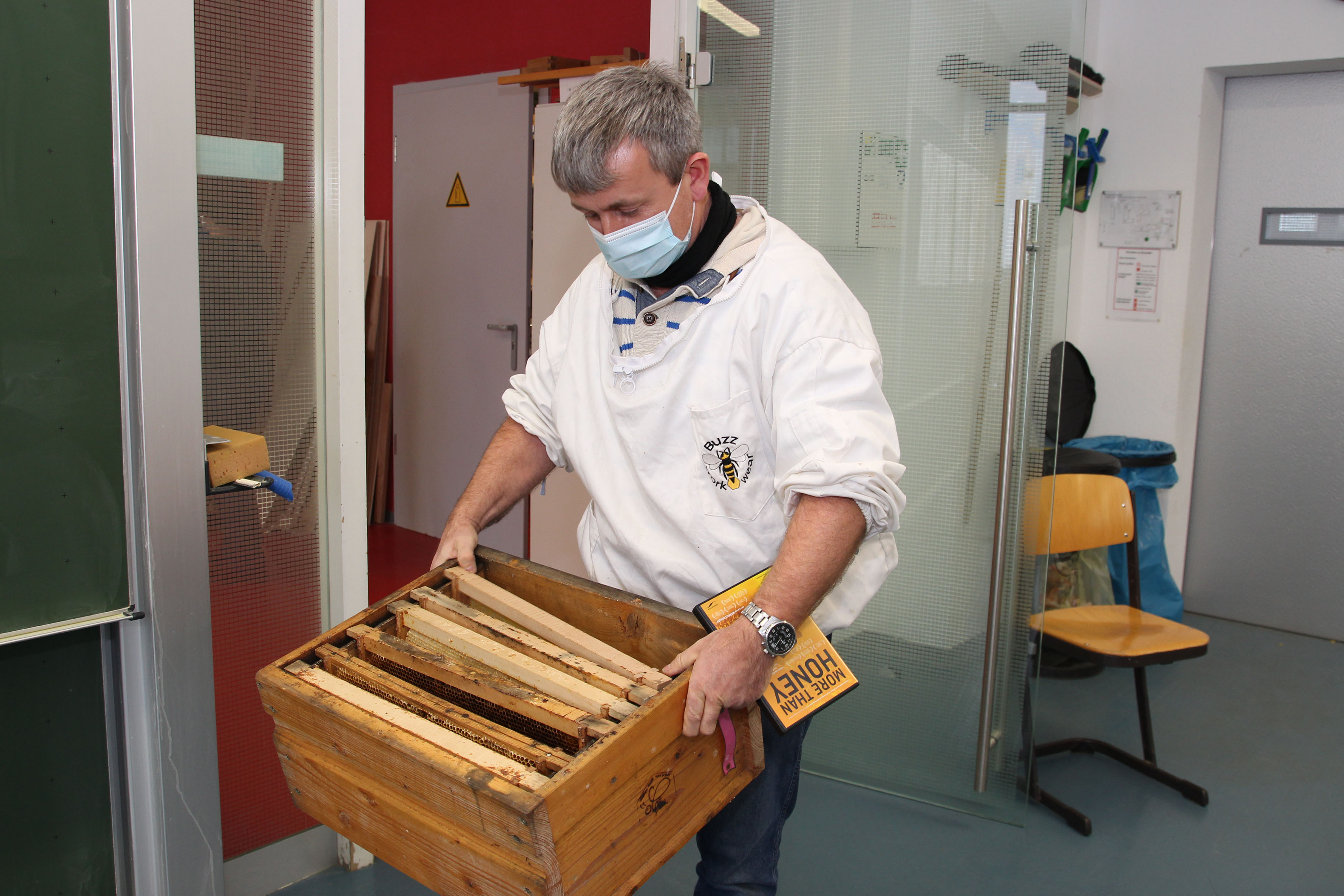 bienen_4.jpg