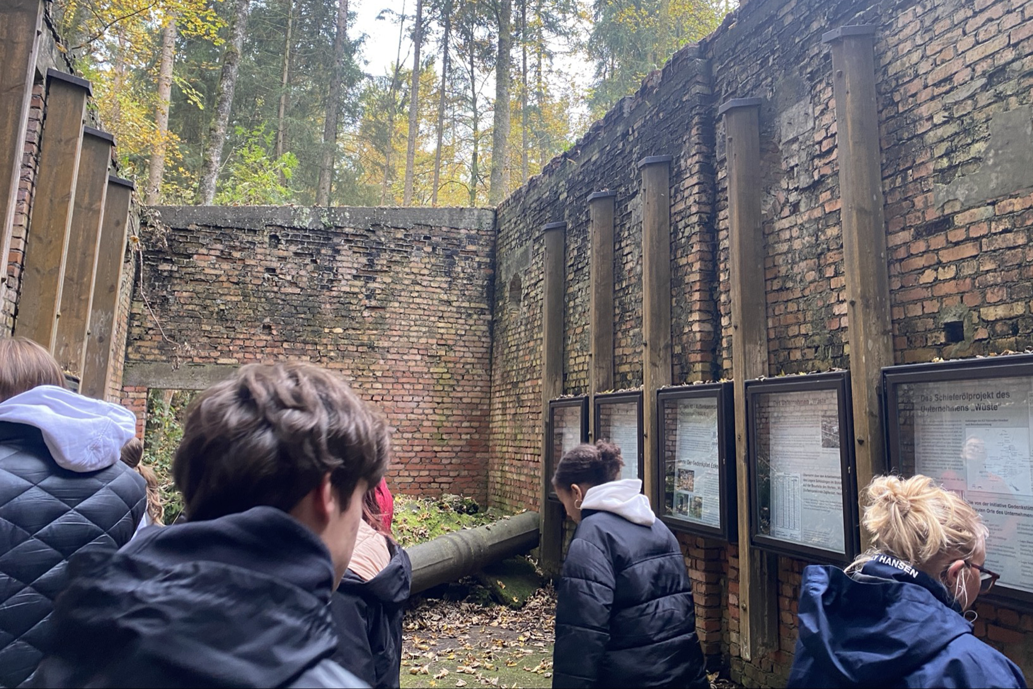 eckerwald_3.jpg