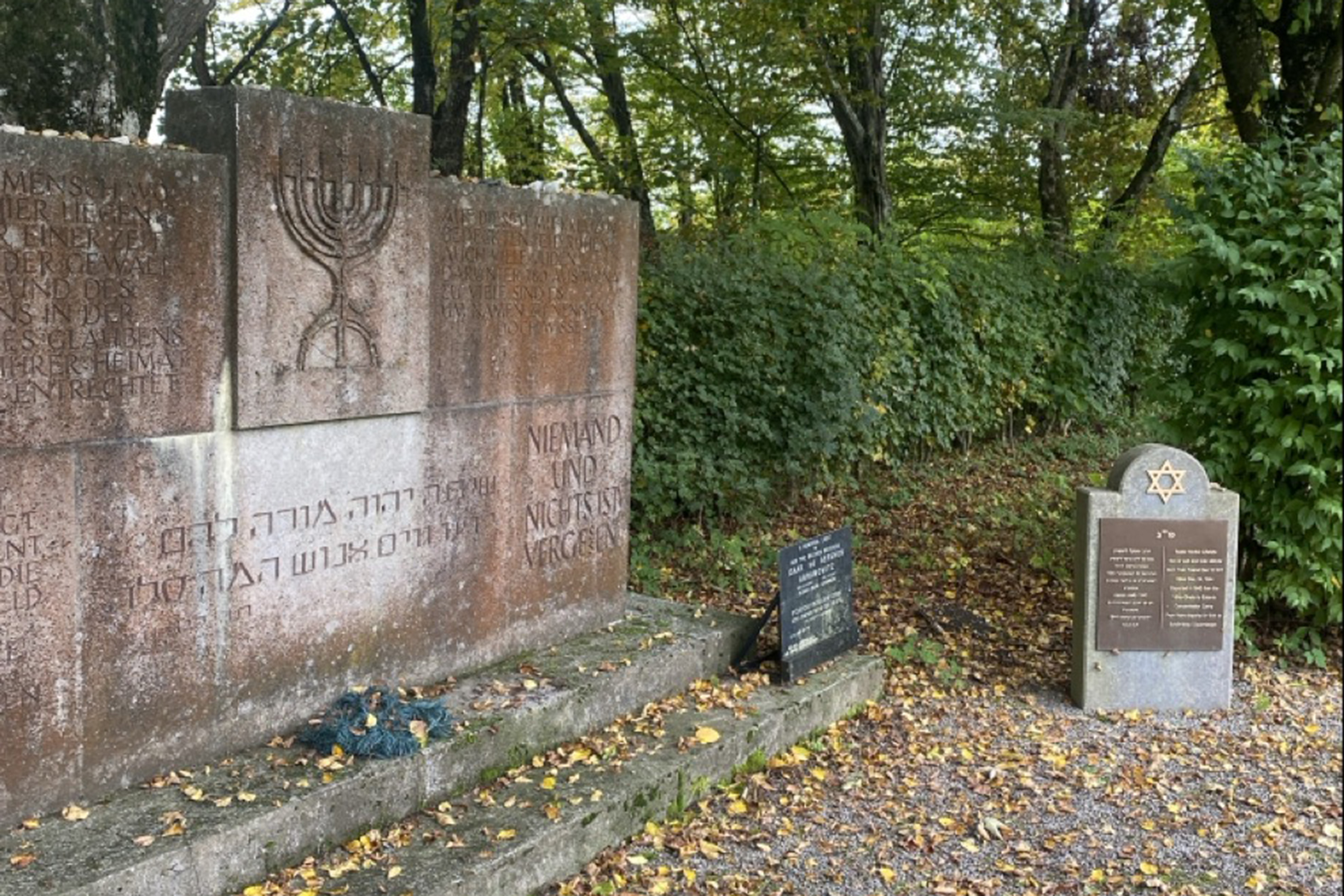 eckerwald_4.jpg