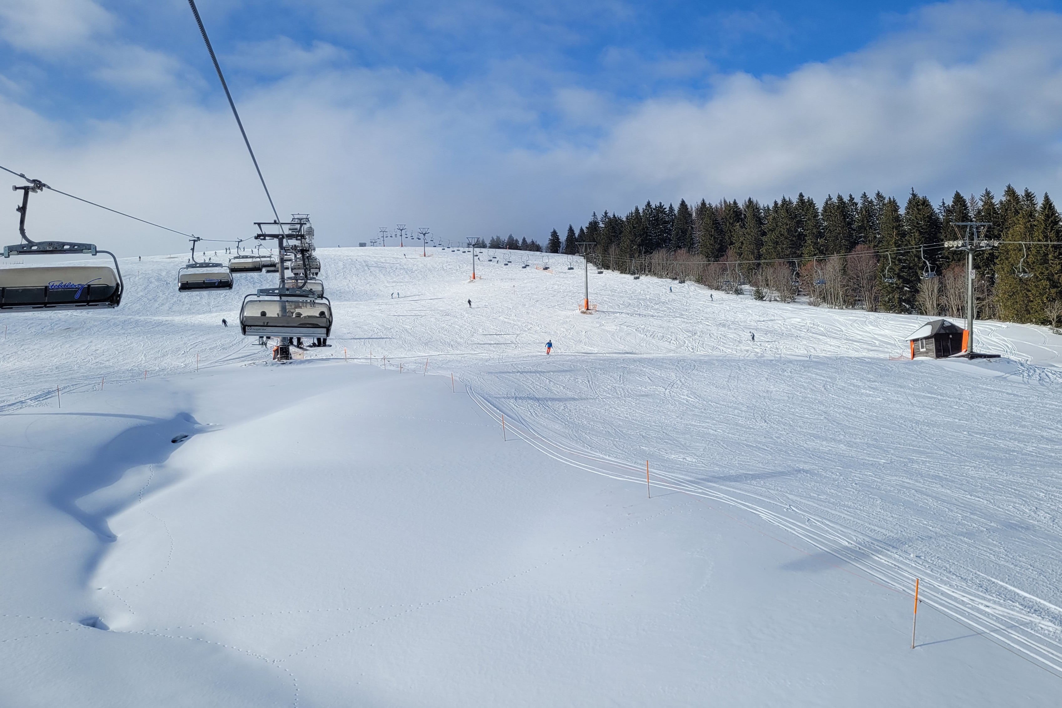 feldberg_11_1.jpg