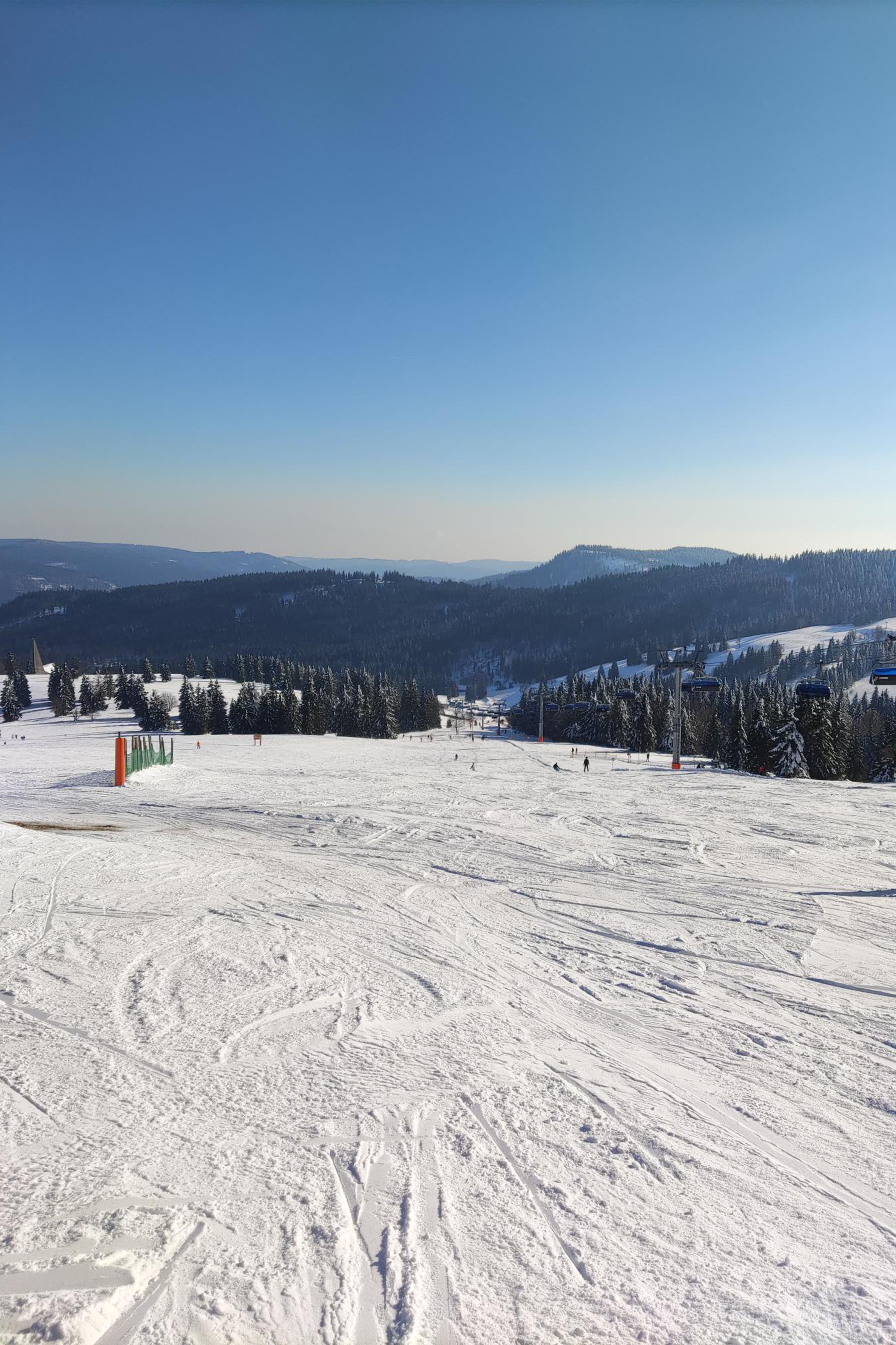 feldberg_2_1.jpg