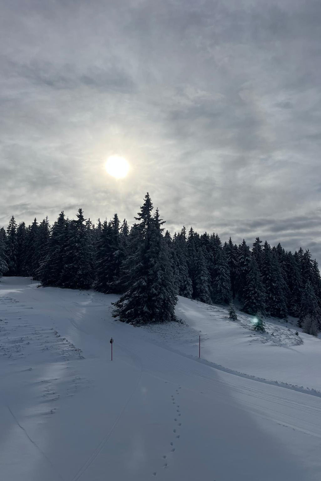feldberg_32.jpg