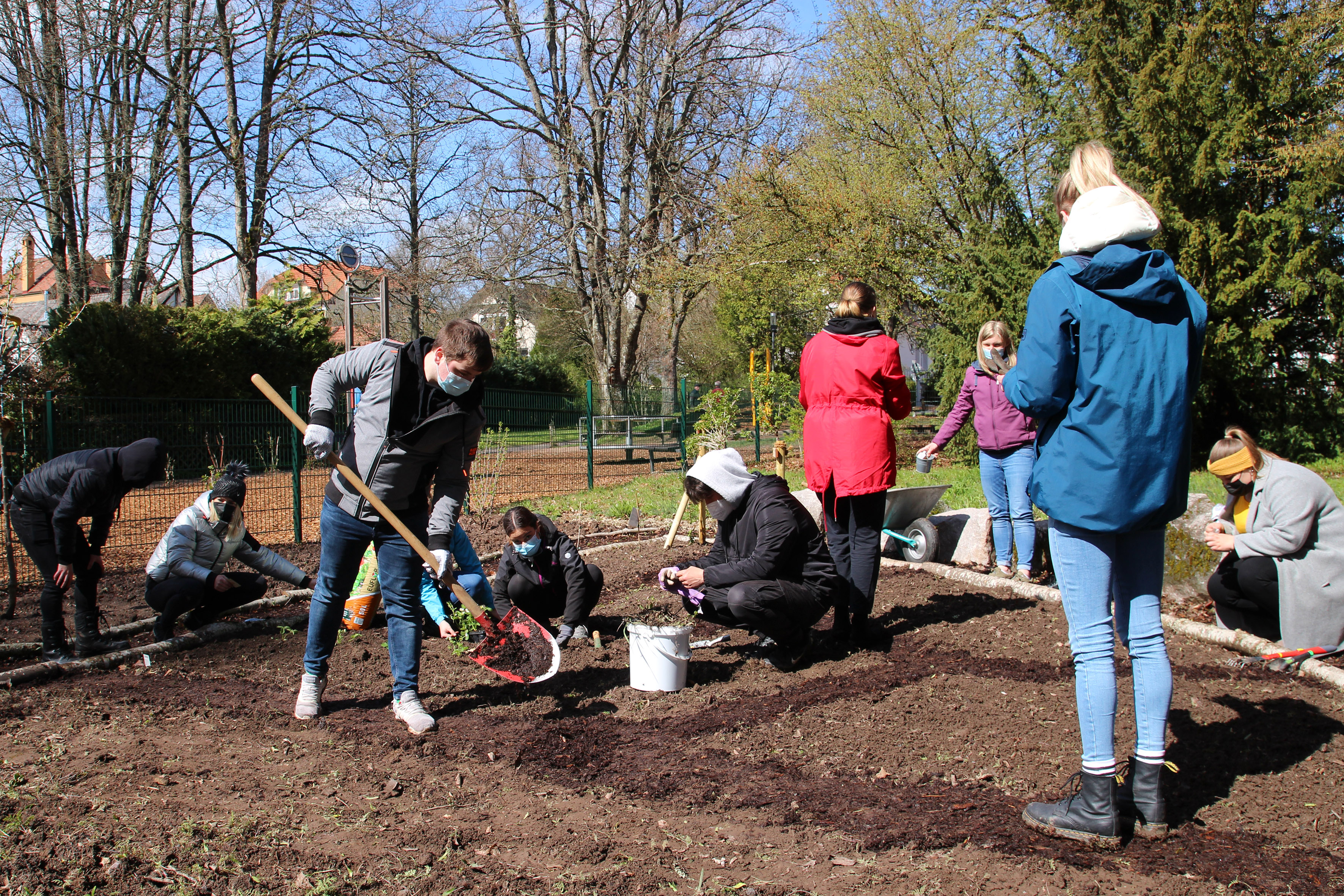 garten_4.jpg