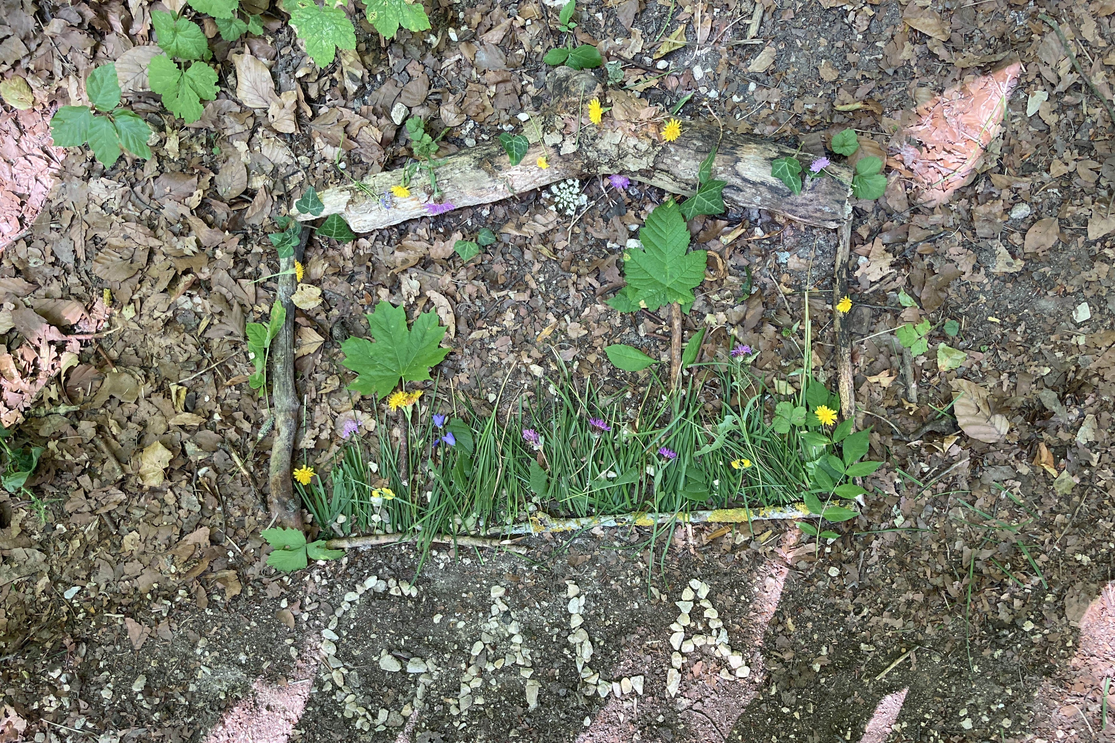 landschulheim_6er_8.jpg
