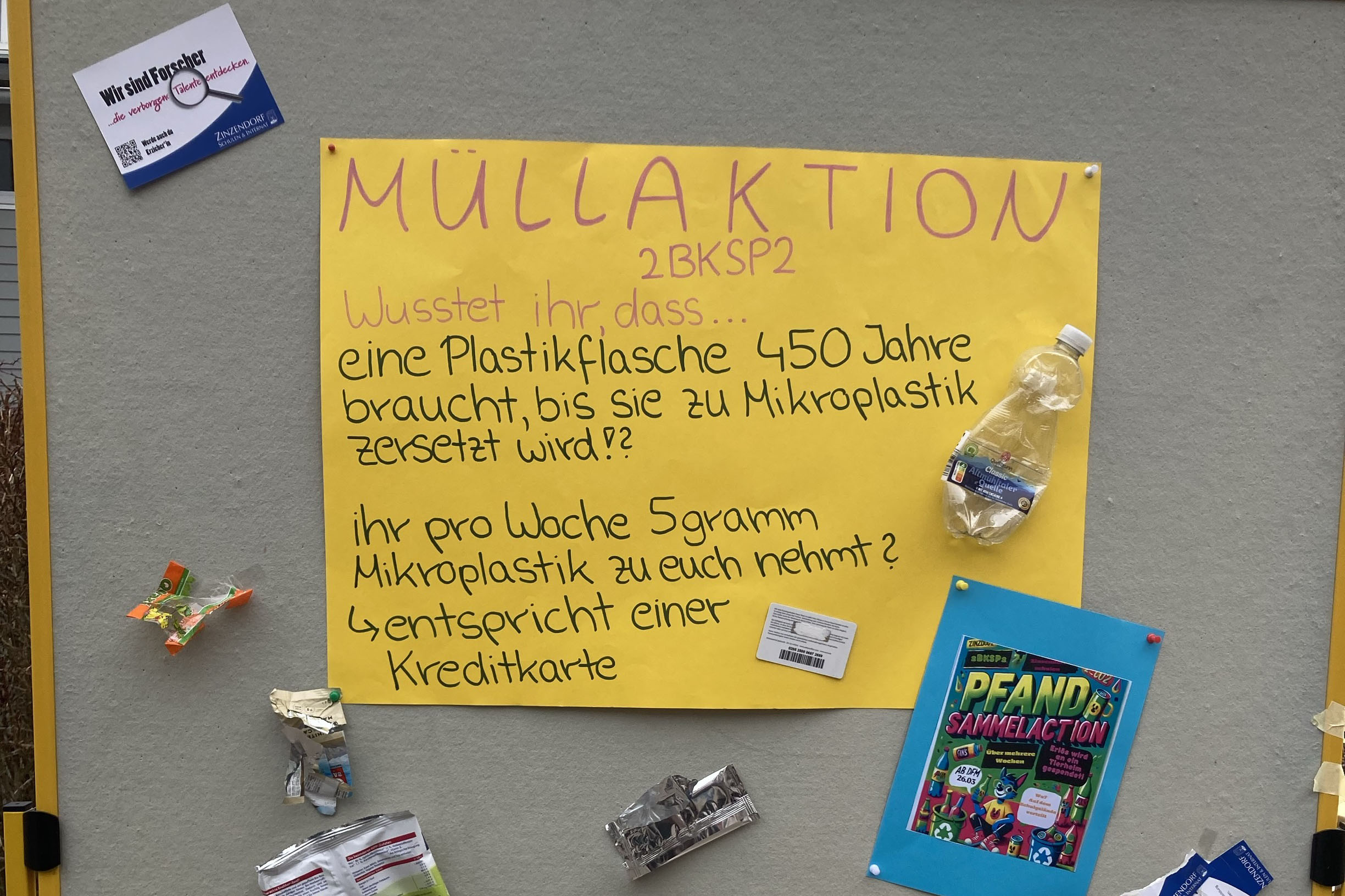 muell_2.jpg