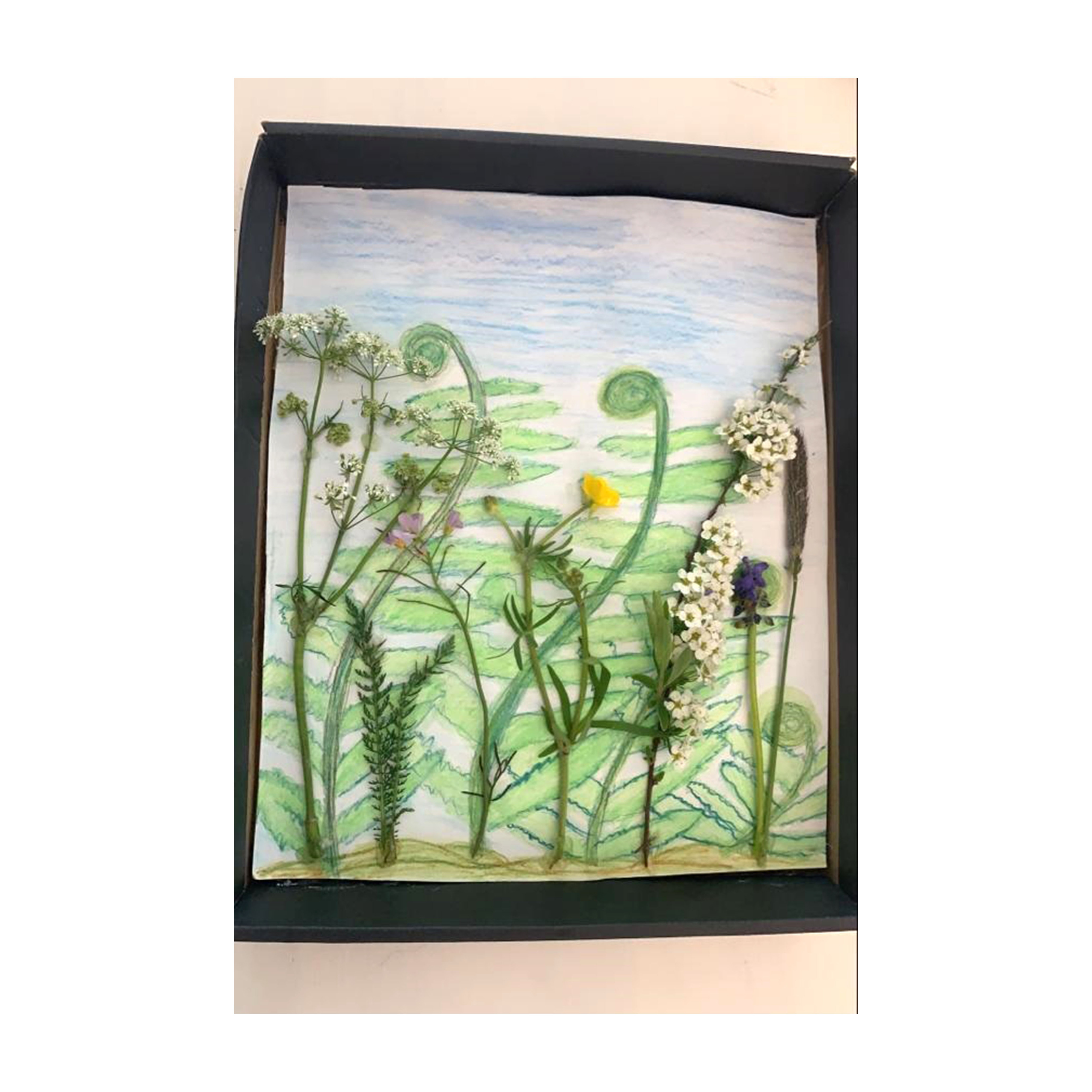 quadrat_fruehling_2_pia_seewald.jpg