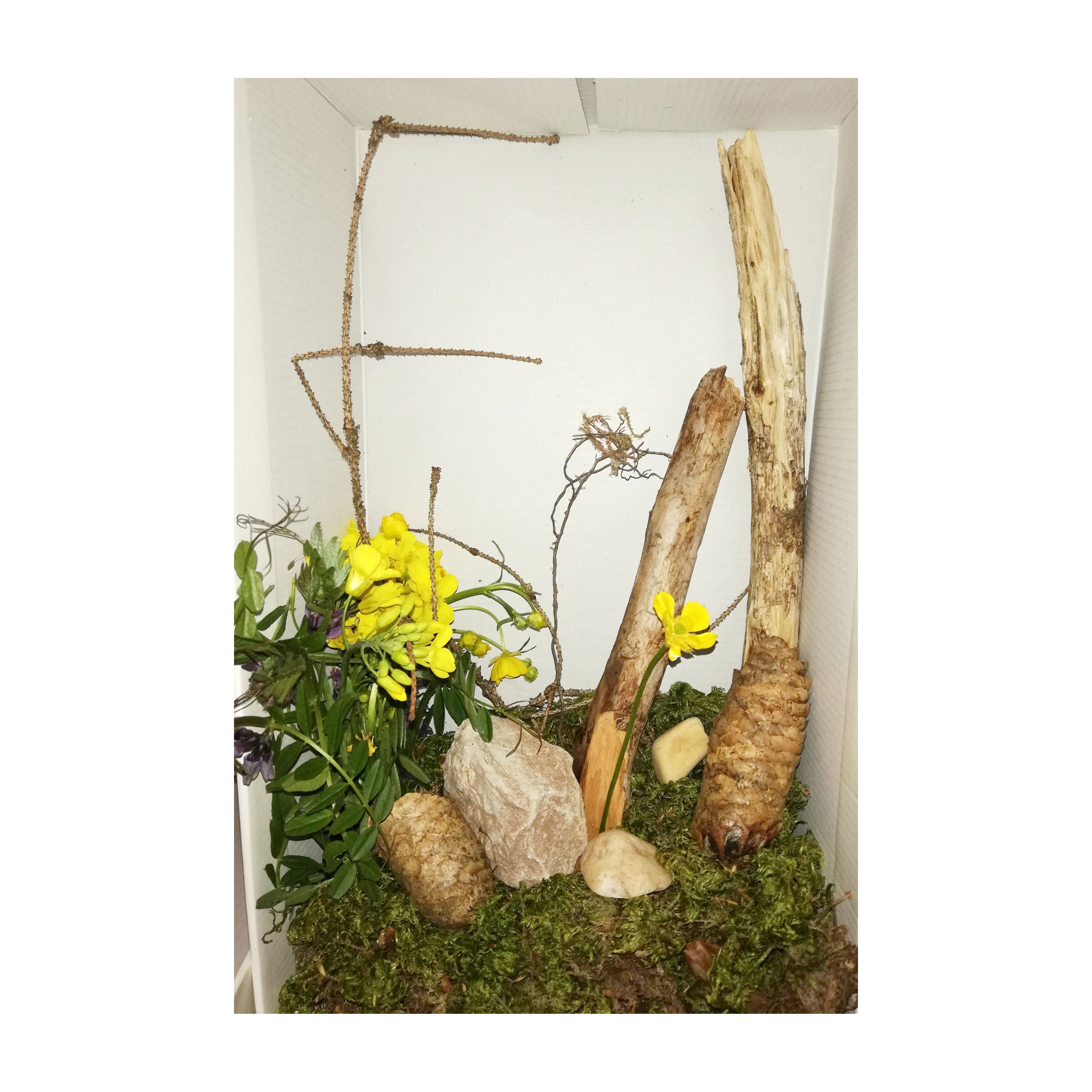 quadrat_fruehling_3_niclaas_ruppert.jpg