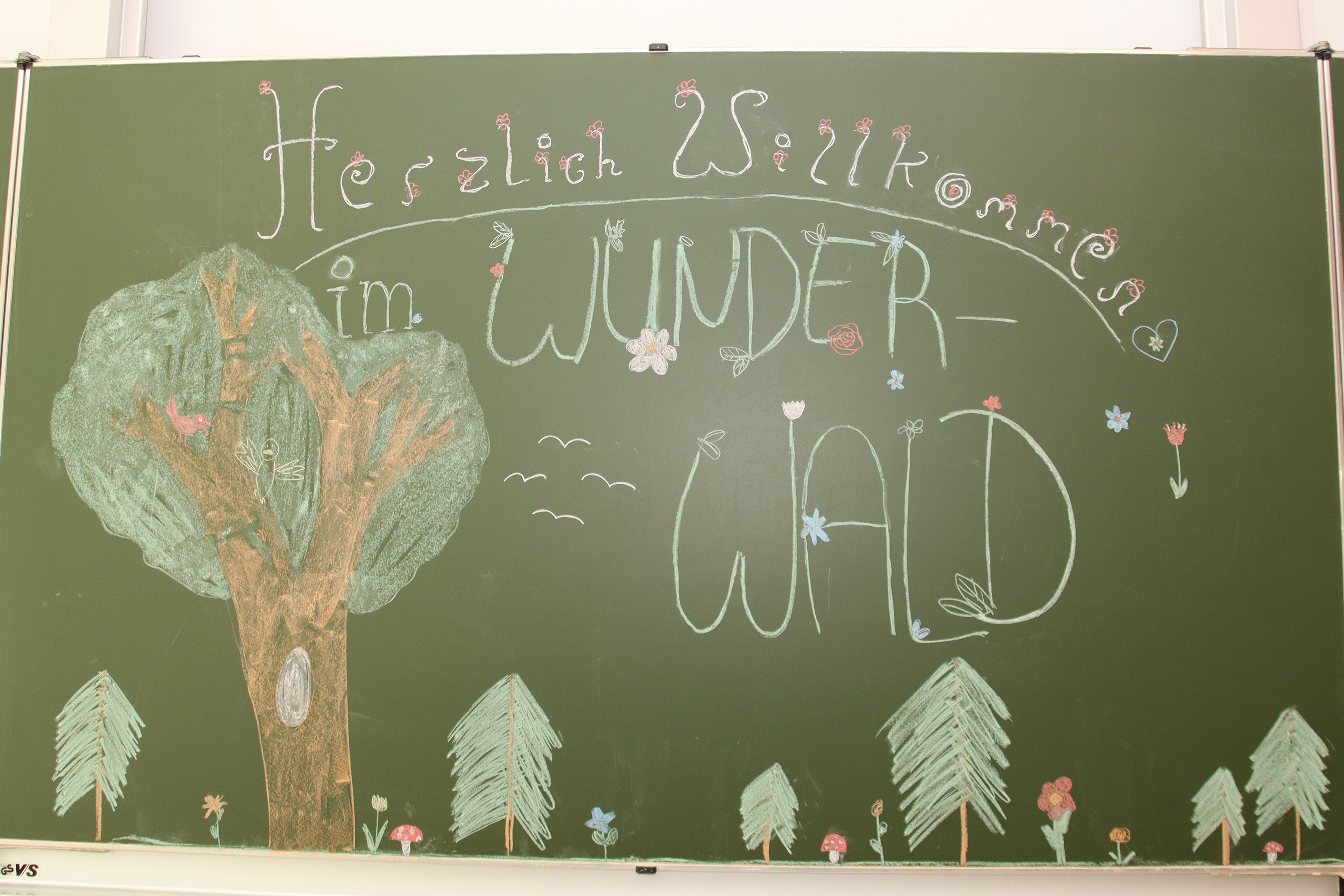 schulfest_59_1.jpg