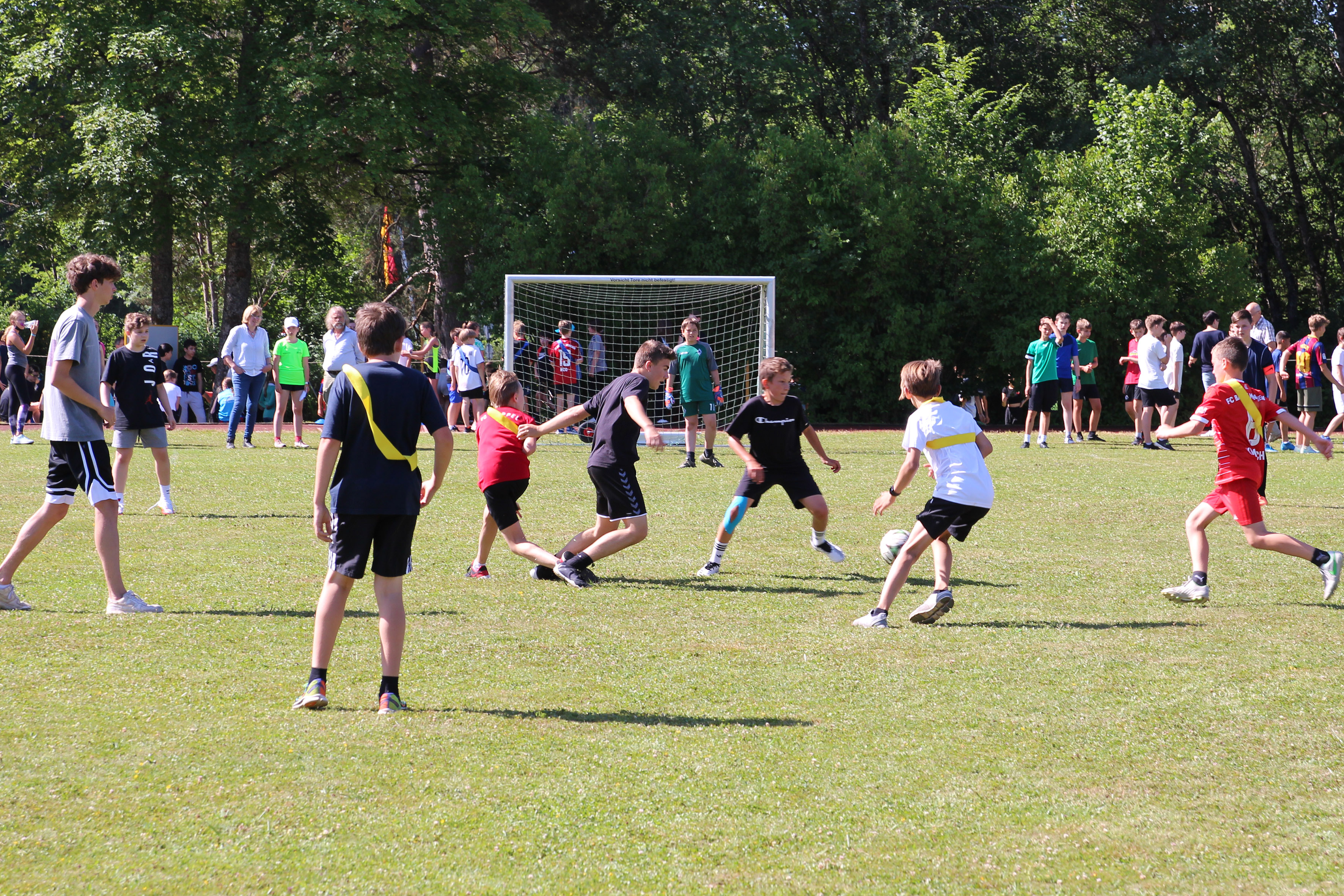 sportfest_3.jpg