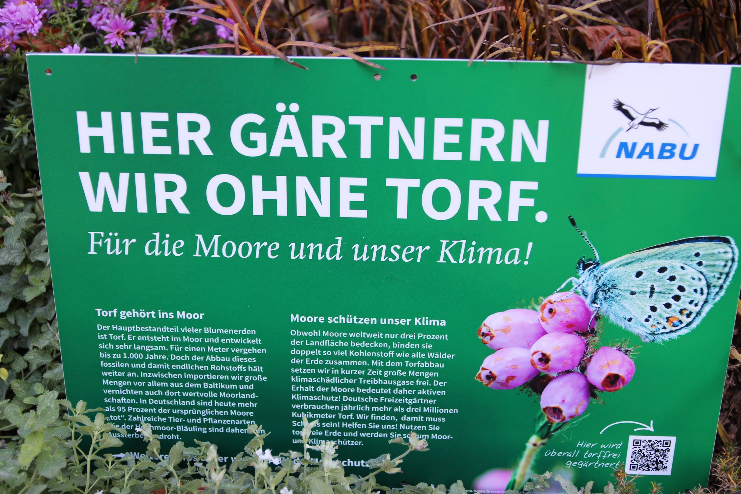 torf_4.jpg
