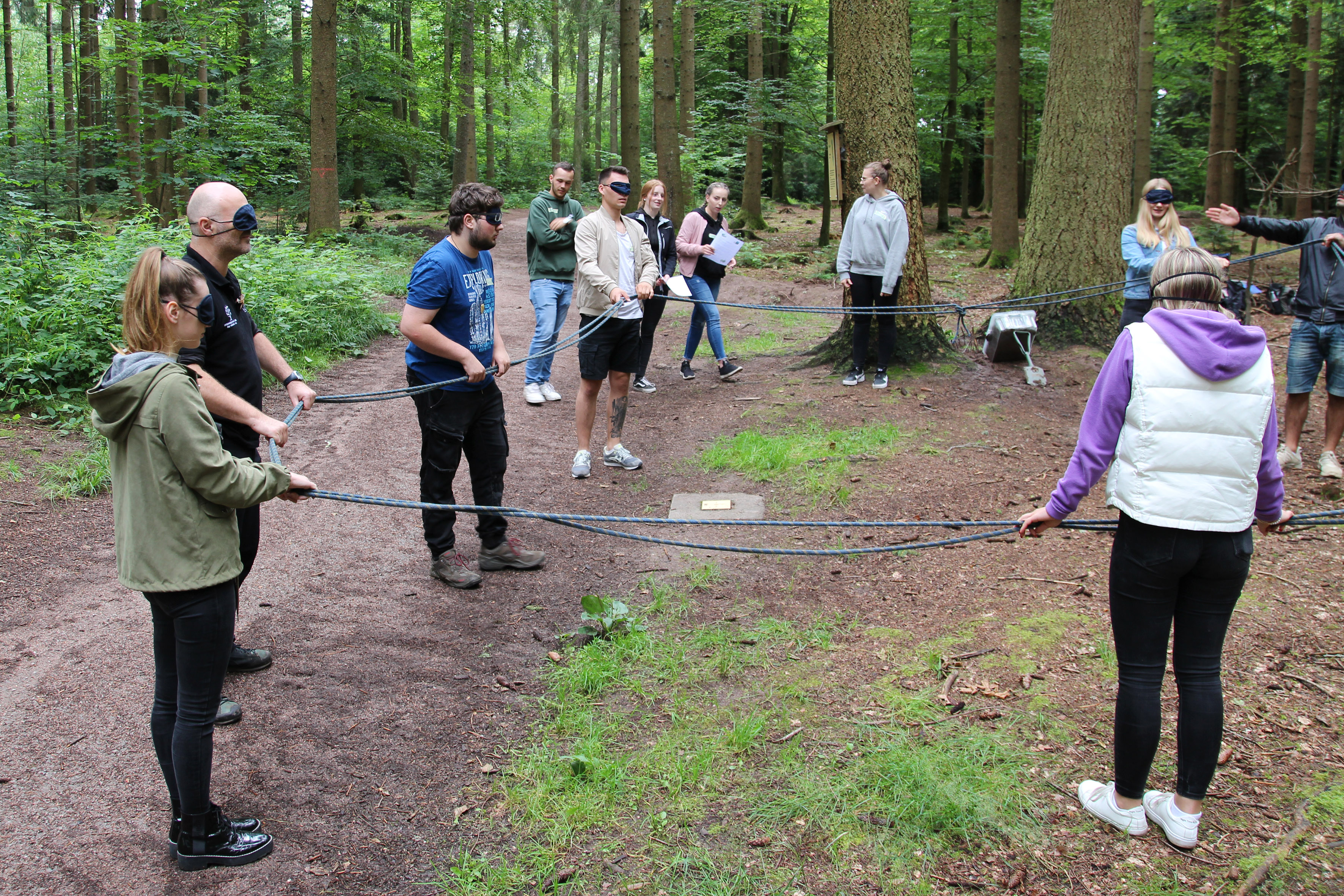 waldmobil_2.jpg