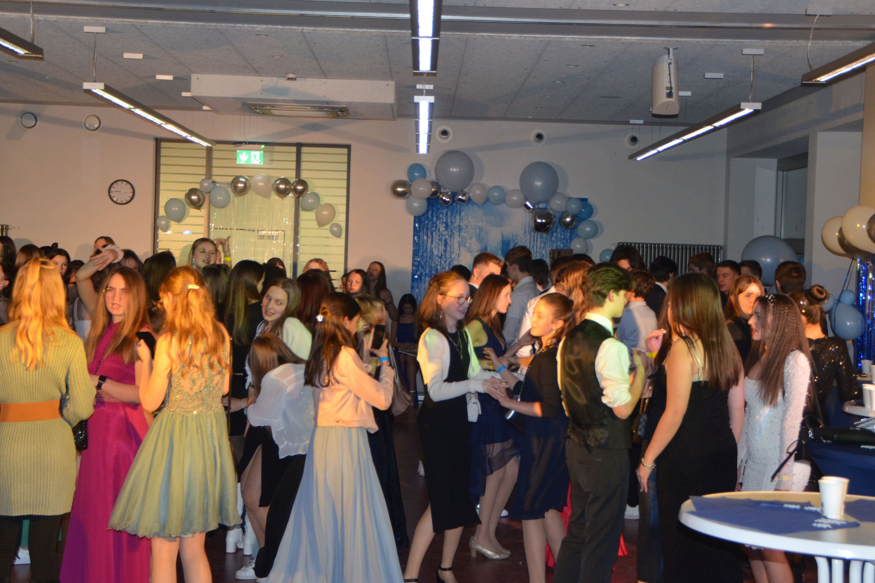 winterball_7.jpg